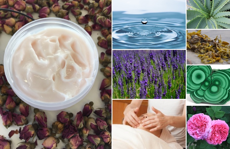 シーズナル・スペシャル　(1/7〜3/31）